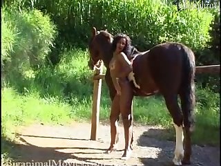 How To Watch Porn On A Tv