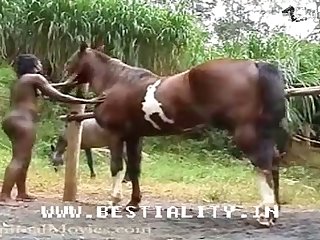 Porno Tune