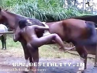 Porno Tune