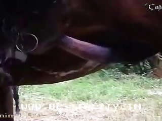 Porno Tune