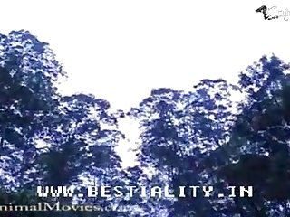 Porno Tune