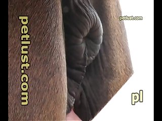 Soo Porn