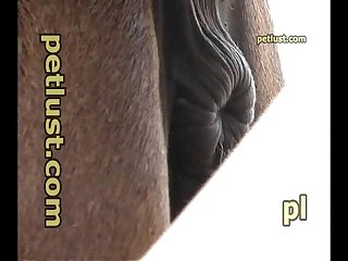 Soo Porn