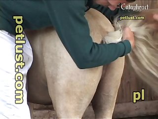 Vomit Scat Porn
