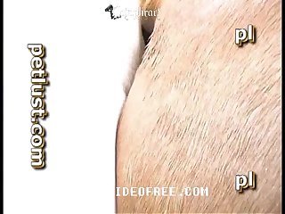 Galitsin Videos