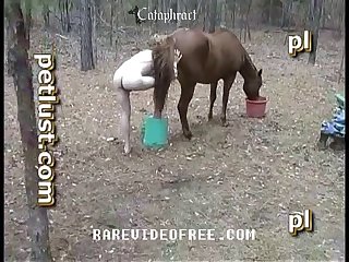 Galitsin Videos
