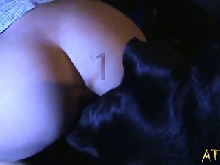 I'm Not Lost Fuck Off Dog Tag