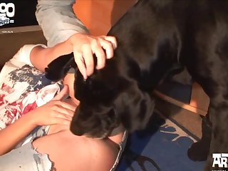 Dog Active Fuck