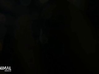 Dog Fuck Close Up Compilation