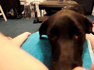 Hard Pussy Fucking by Doggy