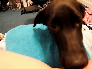 Hard Pussy Fucking by Doggy