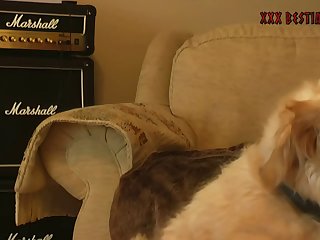 Petite Girl Gets A Animal Porn From A Gargantuan Cock