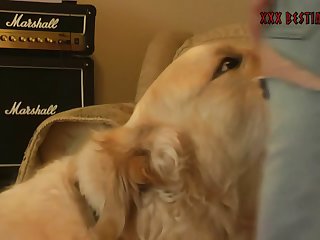 Petite Girl Gets A Animal Porn From A Gargantuan Cock