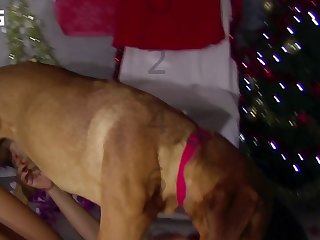 Mexico Girl Fuck Dog