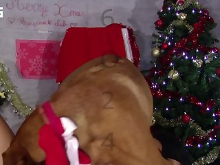 Mexico Girl Fuck Dog