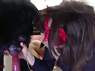 Big Dog Fuck Girl Hard