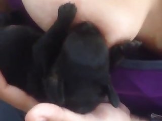 Dog Fuck Nigeria Girls