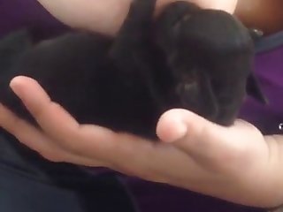 Dog Fuck Nigeria Girls