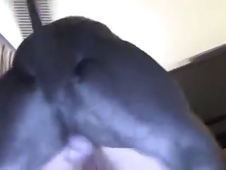Gf Fuck By Dog