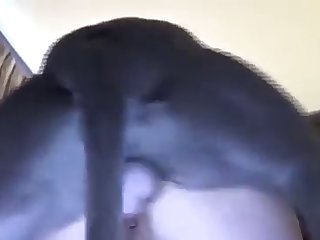 Gf Fuck By Dog