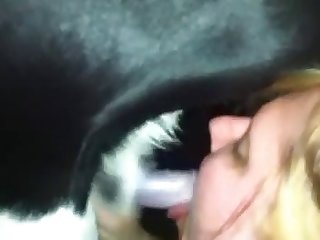 Miss Magnetic Dog Fuck