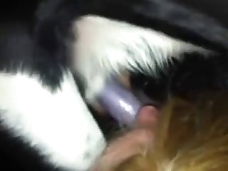 Miss Magnetic Dog Fuck