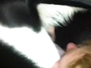 Miss Magnetic Dog Fuck