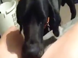 Big Dog Fuck Teens