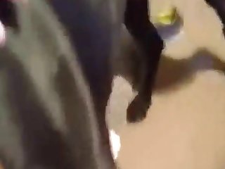 Big Dog Fuck Teens
