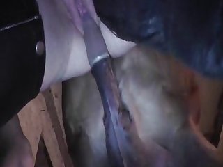 Fuck Dog Sheath