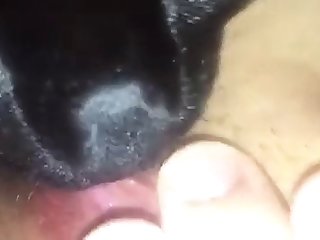 How To Fuck With Your Dog