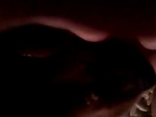 Dog Fuck Hard Xxx