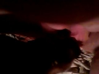 Dog Fuck Hard Xxx