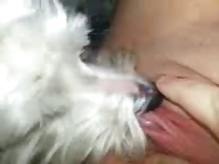 Teen Dog Fuck Luxure