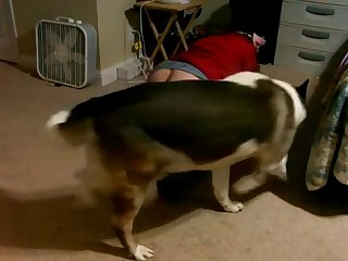 Man Fuck Dog In The Forest