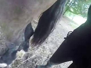 Mom Fuck With Dog