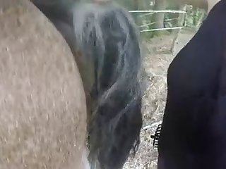 Mom Fuck With Dog