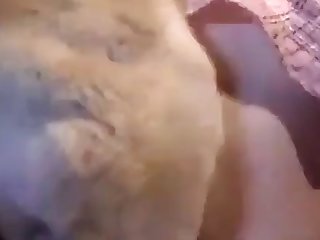 Girl Fuck Dog In Missionary