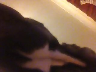 Girl Lets Pet Dog Fuck Her