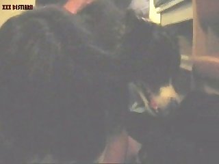 Www Xxx Animal Sex Video
