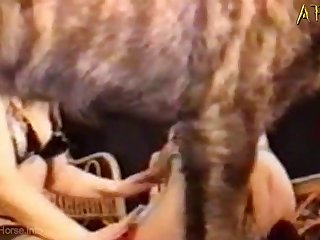 Pregnant Sex With Animal