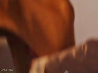 Big Ass Sex With Animal