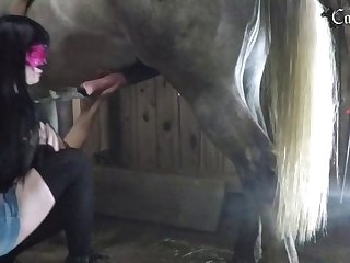 Facebook Animal Sex