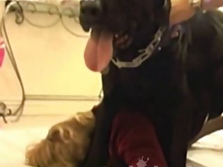 Animal Having Sex With Females