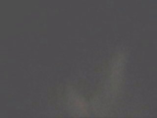 Animal Kingdom Mia Sex Scene