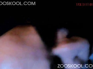 Tripti Dimri Sex Scenes In Animal