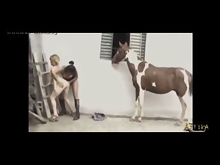 Animal And Humen Sex