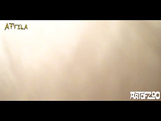 Animal Sex In Forest