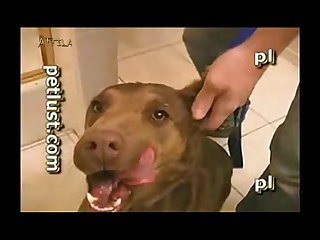 Chinese Animal Sex Videos