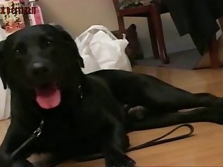 Animal Sex Girl Videos